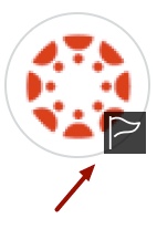 Screenshot: Canvas Profile Picture with flag symbol.
